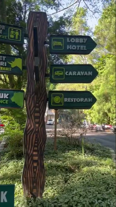 Taman Safari Bogor Terkini 2022 #tamansafari #tamansafaribogor