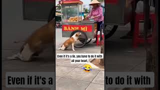 Funny shorts #funny #short #india 😂🤗🙄