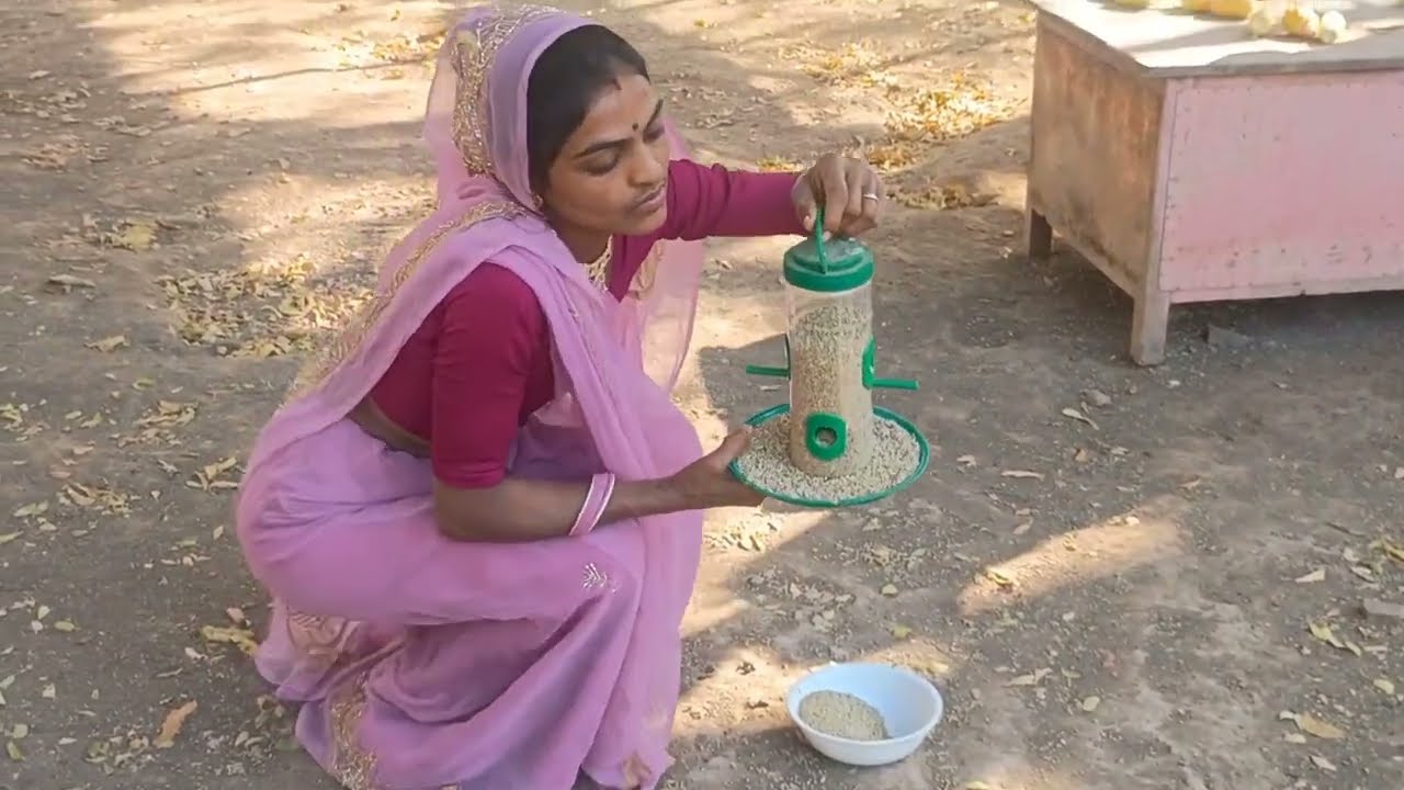 જાણો આ પક્ષીઓને સણ આપવાથી   થશેઆ લાભ 