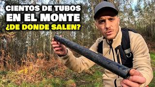 La TRISTE REALIDAD de los MONTES de ASTURIAS