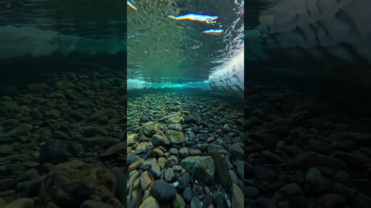 Relaxation music with 8k nature vedio 