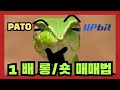 1배 롱 / 1배 숏 매매 #파토의 4번째 영상