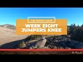 Week Eight | Jumpers Knee