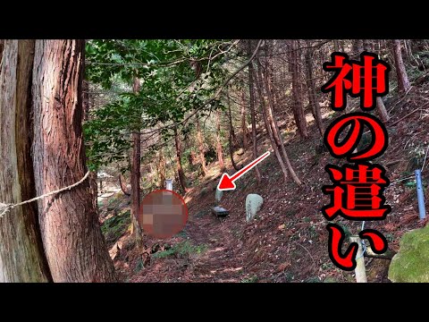 ※超強力⚠️必ず見てください！日本最強のパワースポットに神の遣いが現れる須我神社奥宮遠隔参拝