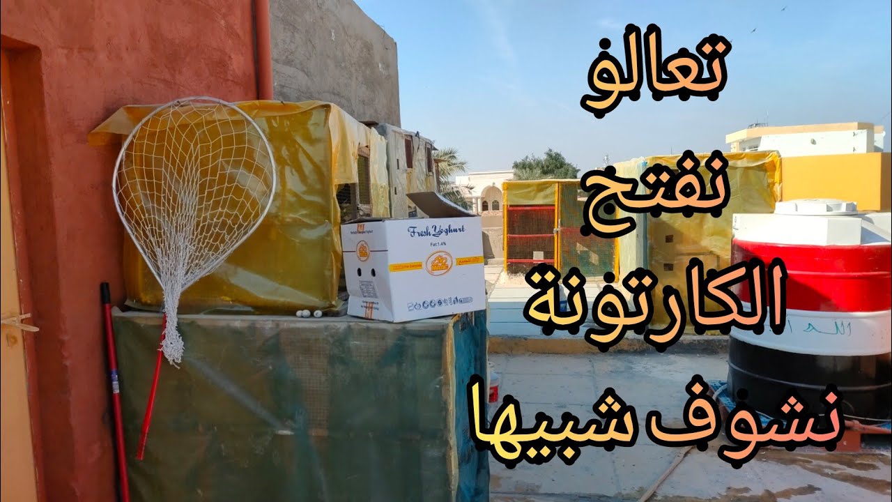 تعالو نفتح الكارتونة سوه نشوف شبيها 🥰 وصلت اطيور خط أول