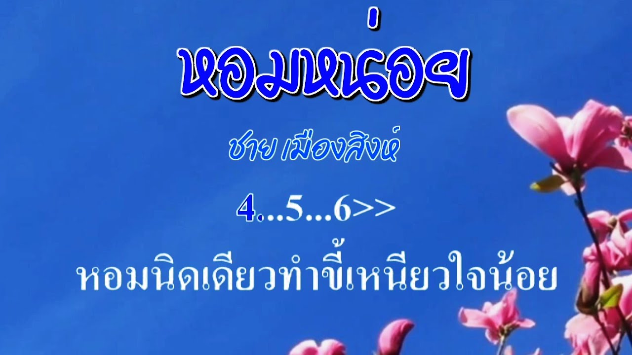 ♬หอมหน่อย ชาย เมืองสิงห์ #karaoke #คาราโอเกะ