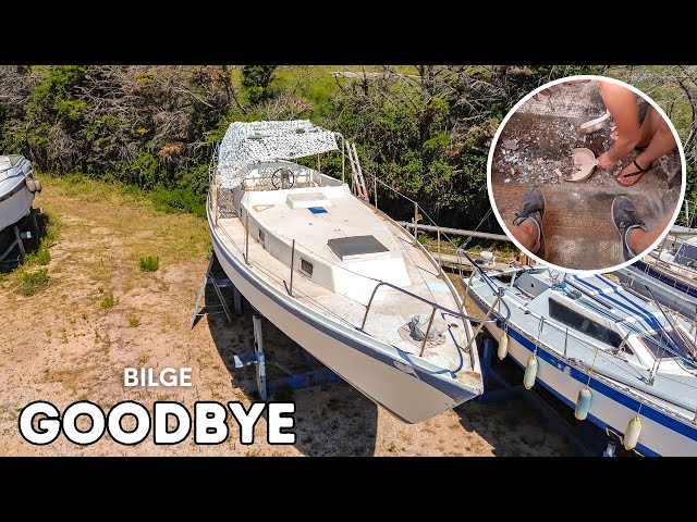 Our Earth /  Band / ‘1979 Seabird Our Earth / Band / '1979 Seabird Seabird Band – Seabird Band