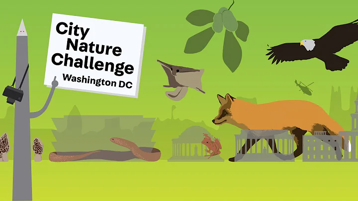 Join the City Nature Challenge on iNaturalist!