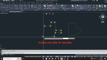 🎯 LISP GHI TỌA ĐỘ & KHOẢNG CÁCH CẠNH POLYLINE V2.1B
