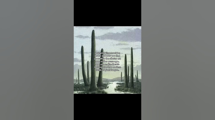 Your time machine broke in the Silurian era. 440 milion years ago #prehistoric #history