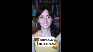 Let&#39;s learn together how to name these animals in Italian! (pt. 1) 🦊⁣⁣⁣⁣#animalsinitalian