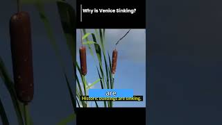 Know the reason how Venice is Sinking in 21st Century