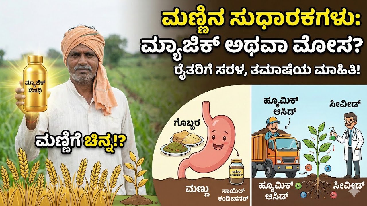 ರೈತರೇ ಎಚ್ಚರ! ಅಂಗಡಿಯವರು ಹೇಳುವ ಈ 'ಮ್ಯಾಜಿಕ್ ಔಷಧಿ' ಅಸಲಿ ಕಥೆ ಏನು? | Humic Acid & Seaweed Reality