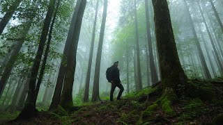 Viaje de senderismo silencioso en las montañas (ASMR)