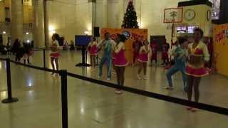 Ringling Brothers & Barnum Bailey Circus At Chicagos Union Station