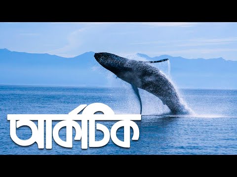 ভিডিও: দেরী ইউএসএসআর এর অর্থনৈতিক সমস্যা যা এর পতনের দিকে পরিচালিত করেছিল