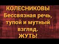 Семья Колесниковых/Новости из Дворца.