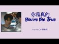 You Re The True 你是真的 Kipuka Qiu 邱鼎杰 Chi Pinyin Eng Lyrics