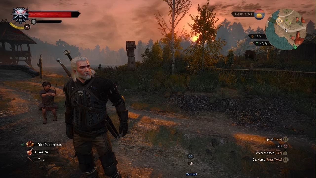 The Witcher 3: Wild Hunt - Complete Edition Death March Part 12