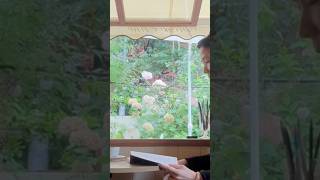 서우로그 | dayoff | la seou con te| 행궁동카페