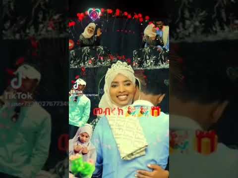 የሶፊ ሰርግ በሉት ማሻ አላህ Minber Tv Shorts Youtube