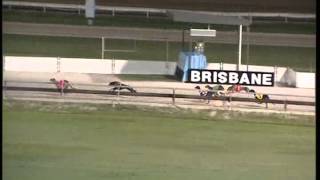 Albion-Park-02032015-Race-6