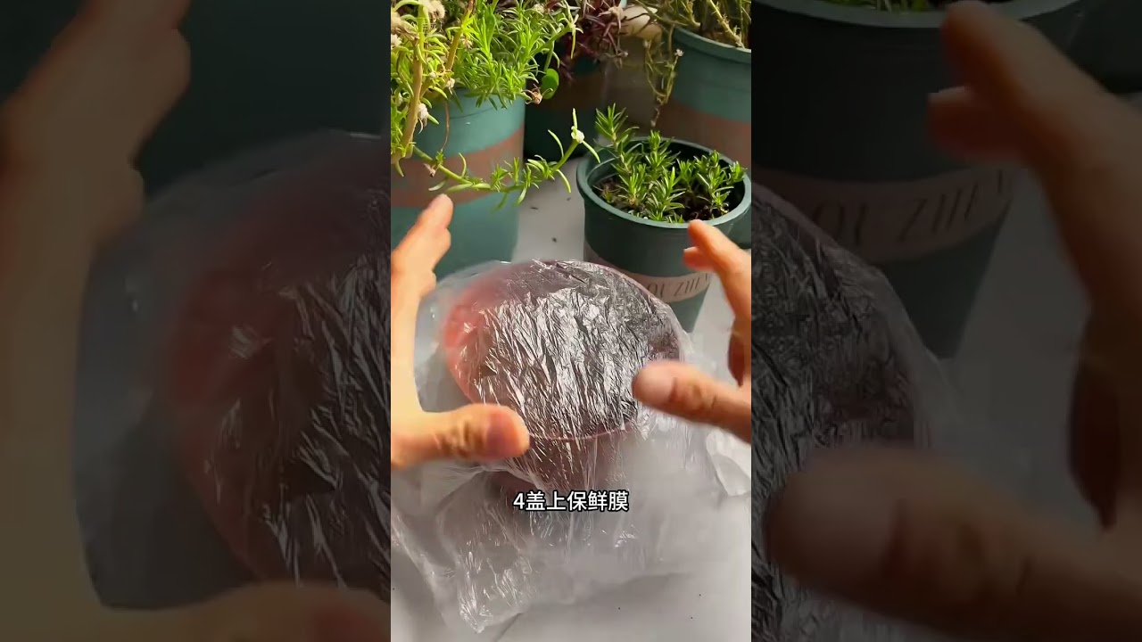 people is like growing flowers  family flower gardening knowledge