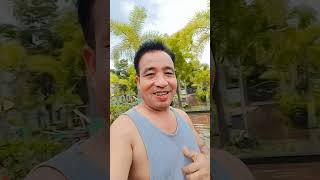 Download Lagu #Yujhe dekhne ko MP3