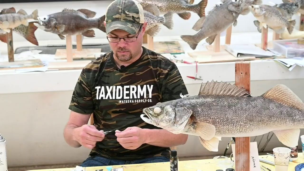 Learn Taxidermy: Part 10: Mounting a Walleye from A-Z