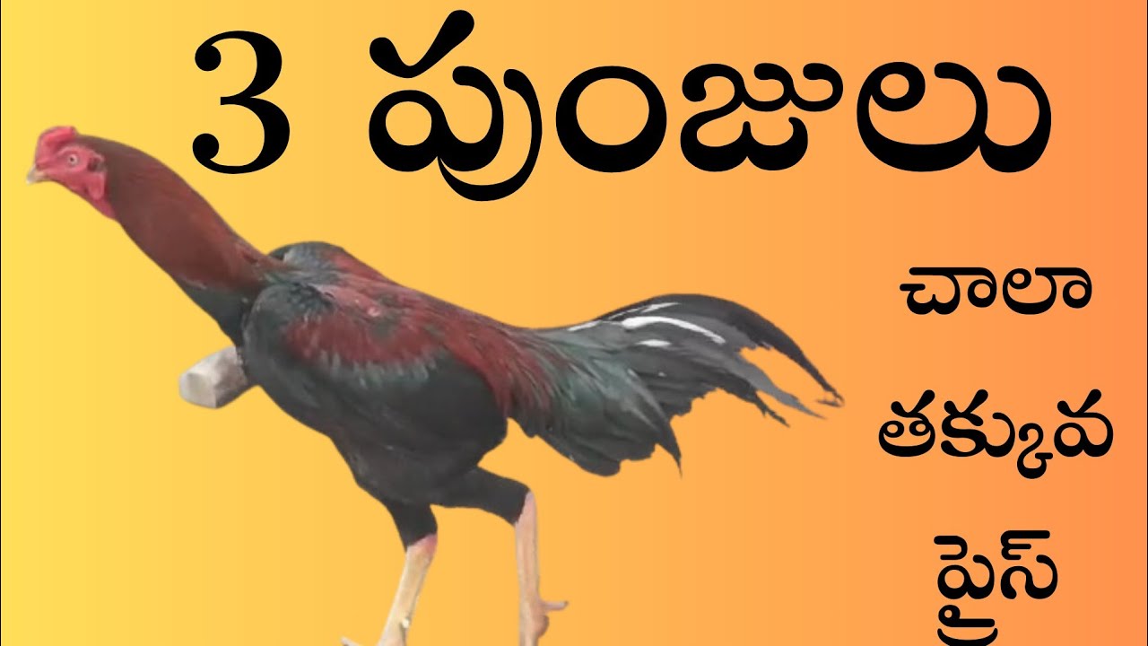 తక్కువ ధరల్లో  