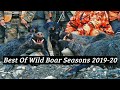 Τα καλύτερα κυνηγετικά στιγμιότυπα 2019-20 - Best Of Wild Boar Seasons 2019 & 2020