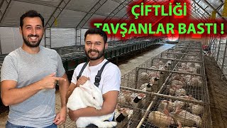 ETLİK TAVŞAN YETİŞTİRİCİMİZİN BAŞARISI! | YENİ BAŞLAYACAKLARA TAVSİYELER!