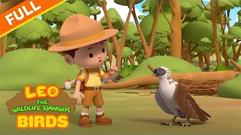 【FULL】Brilliant Birds Adventure!🐦| Leo the Wildlife Ranger #marathon | @mediacorpokto