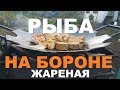 РЫБА ЖАРЕНАЯ НА БОРОНЕ СУДАК САЗАН КАРП РЕЦЕПТЫ СЮФ