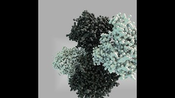 The AminoAcid Tools || The Proteins Toolkit || Houdini Tutorial