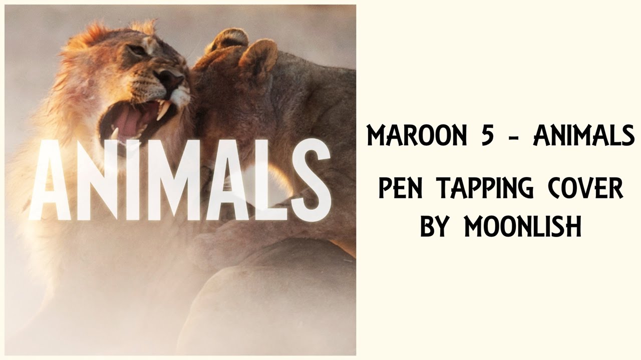 Песня анимал. Martin garrix animals. Martin garrix animals обложка. Animals maroon 5 обложка. Martin garrix animals.