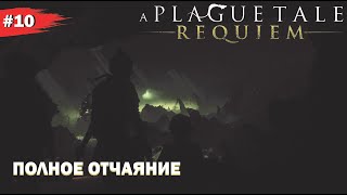 ПОЛНОЕ ОТЧАЯНИЕ #10 A Plague Tale REQUIEM (Прохождение без комментариев)