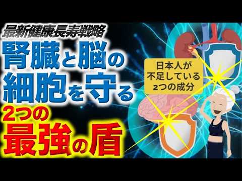 【最新健康長寿戦略】腎臓と脳の細胞を守る2つの最強の盾について現役医師がわかりやすく解説します