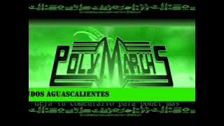 POLYMARCHS DISCO DE ORO