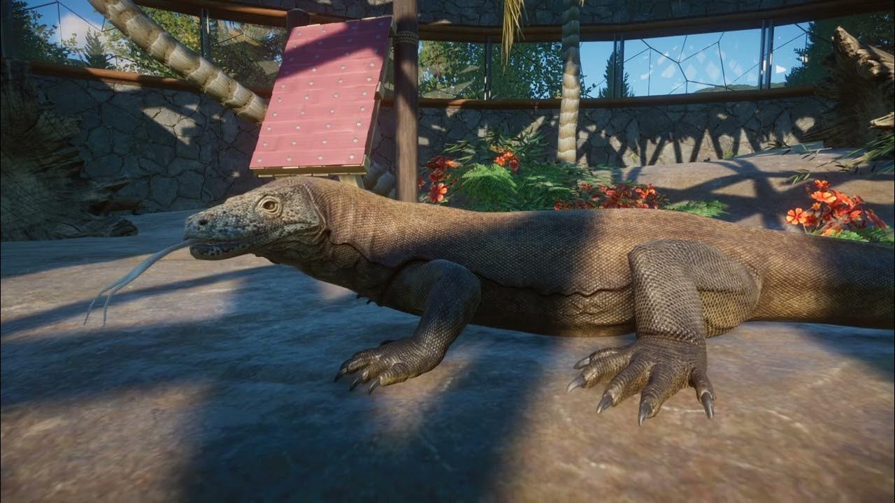 Komodo Dragon | Planet Zoo Animals - YouTube