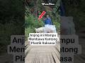 Part 2 : Kisah Haru Wanita Tua dan Seekor Anjing #warta #fakta #faktaunik #faktamenarik