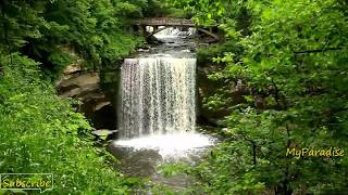 Relaxing Piano Music with Nature Sounds, Waterfall Sounds, Birds Sounds screenshot 1