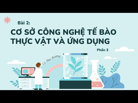 Video Bài 2. Cơ sở công nghệ tế bào thực vật và ứng dụng... - youtube