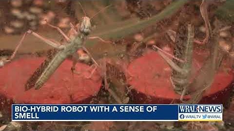 This robot has a sense of smell -- and could help save your life