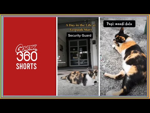 Lawak Kampus #10 - Graduate Gempak Starz Motion Comics - YouTube