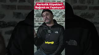 Narkotik Köpekleri Bağımlı Mı Yapılıyor?