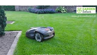 Welk Graszaad Gebruik Je Voor Droge En Zonnige Plekken? Graszaadselect.nl