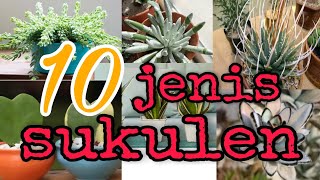 10 jenis sukulen dan nama lainnya |