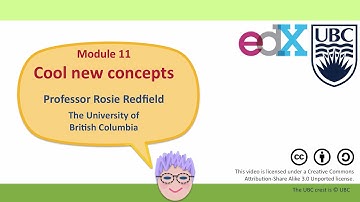 Module 11 Overview