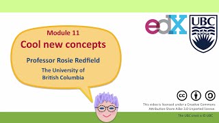 Famous Module 11 Overview Net Worth